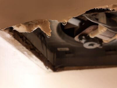 Professional water damage restoration services in Piney Point